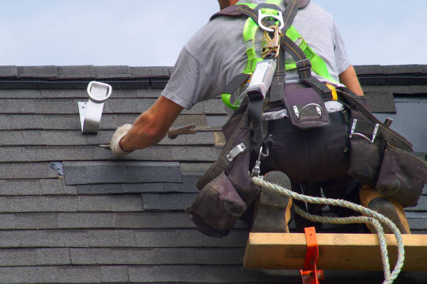 Best Roof Gutter Cleaning  in Hebron Estates, KY